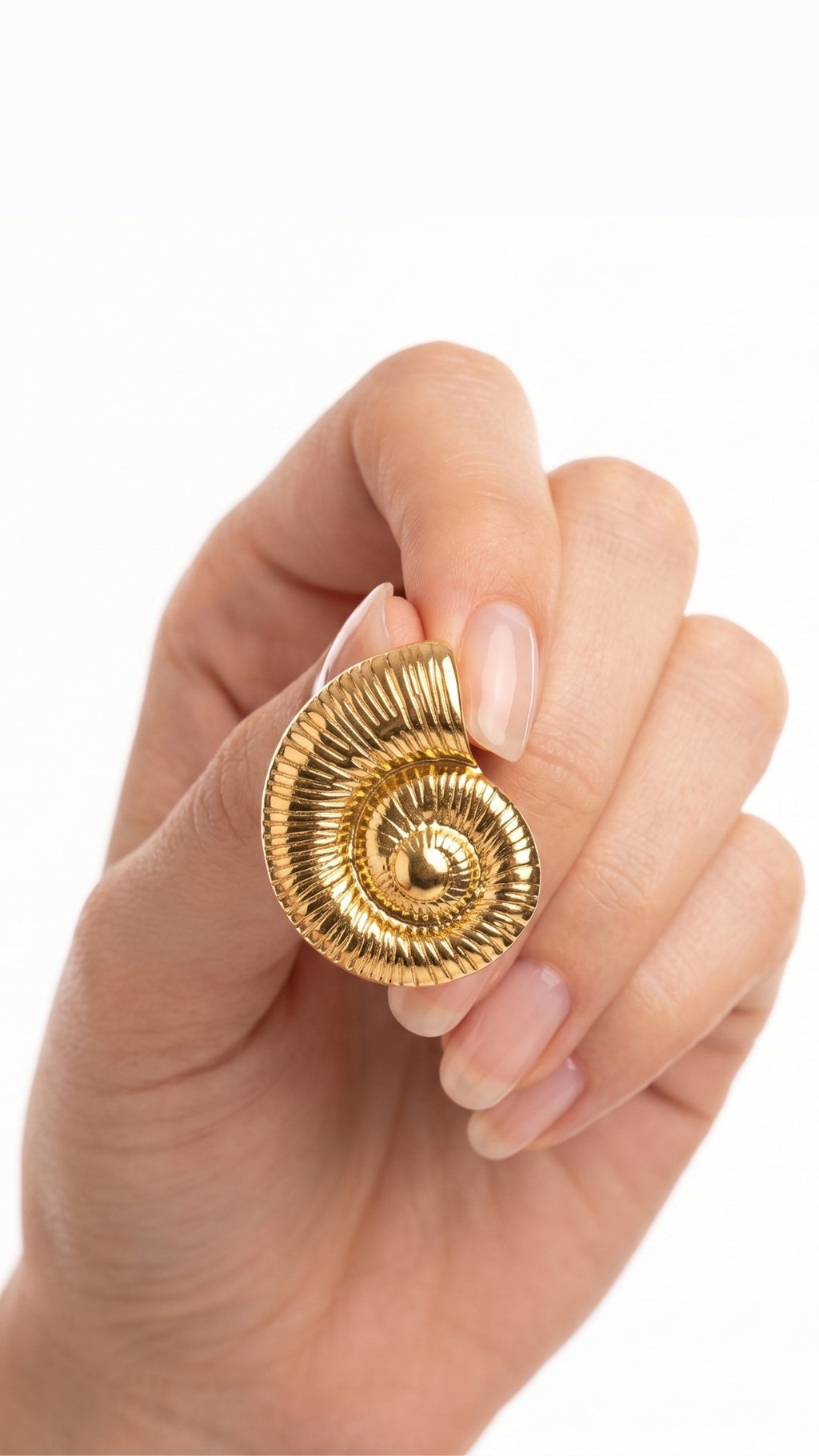 Golden Seashell Earrings
